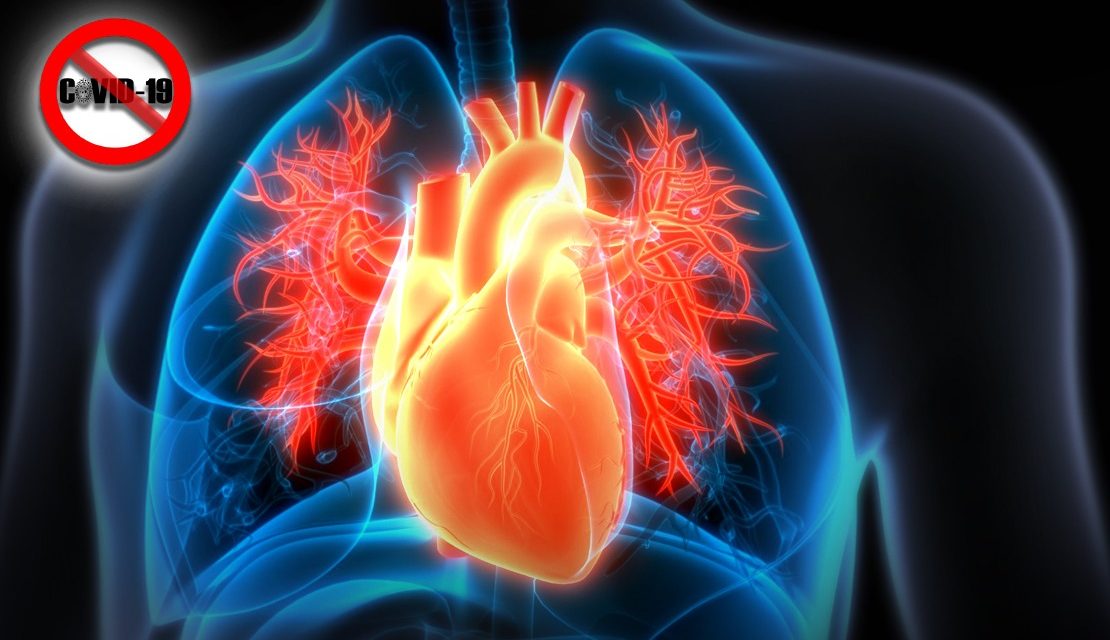 https://www.southerncrescent.com.my/wp-content/uploads/2021/09/TRICVALVE-A-SAFER-OPTION-FOR-RIGHT-HEART-VALVE-TREATMENT-SOUTHERN-CRESCENT-SDN-BHD-NEGERI-SEMBILAN-WHATSAPP-0199199334-1110x640.jpeg