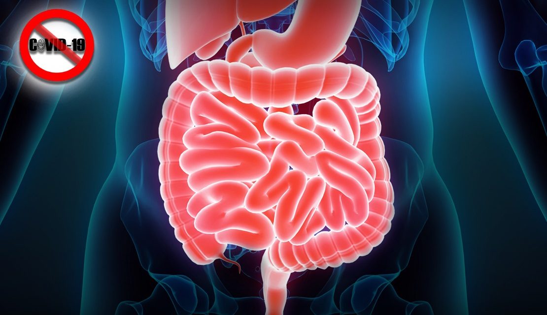 https://www.southerncrescent.com.my/wp-content/uploads/2021/10/HIPEC-PIPAC-PROVIDE-RAY-OF-HOPE-FOR-COLORECTAL-CANCER-PATIENTS-SOUTHERN-CRESCENT-SDN-BHD-NEGERI-SEMBILAN-WHATSAPP-0199199334-1-1110x640.jpeg